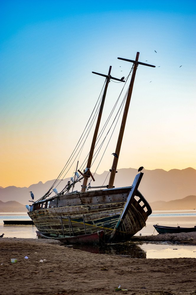 Photograph by Andre Nunes