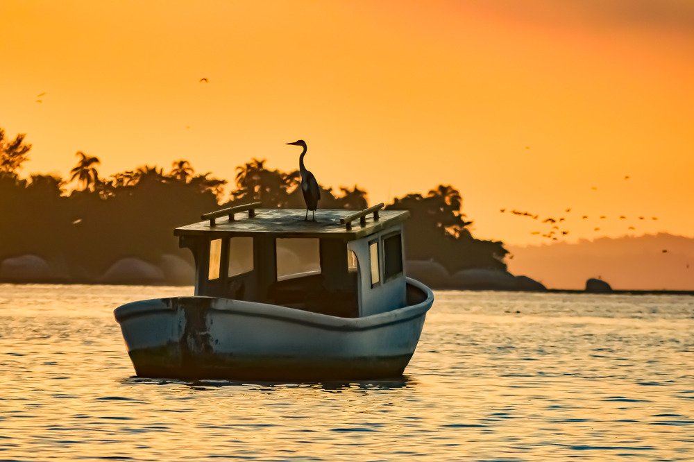 Photograph by Andre Nunes