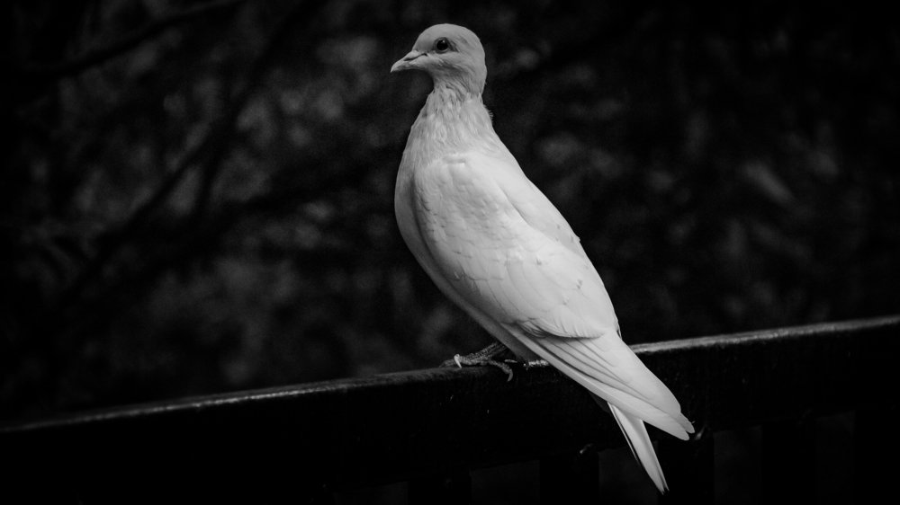 Photograph by Василиса Билуши