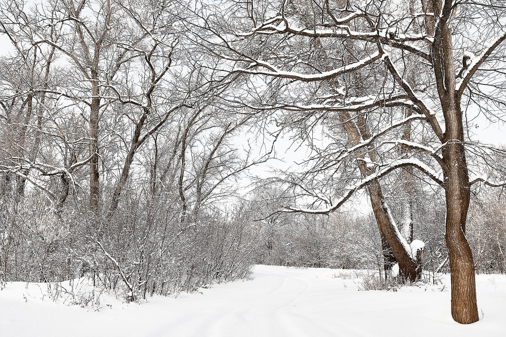 Photograph by Евгений Пивкин