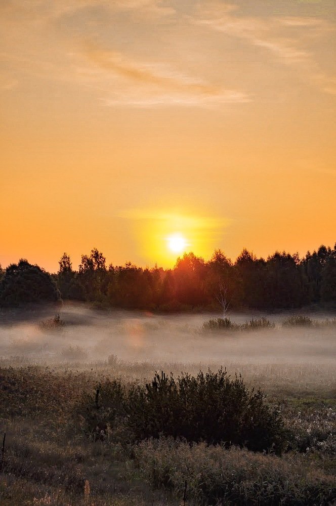 Photograph by Марет