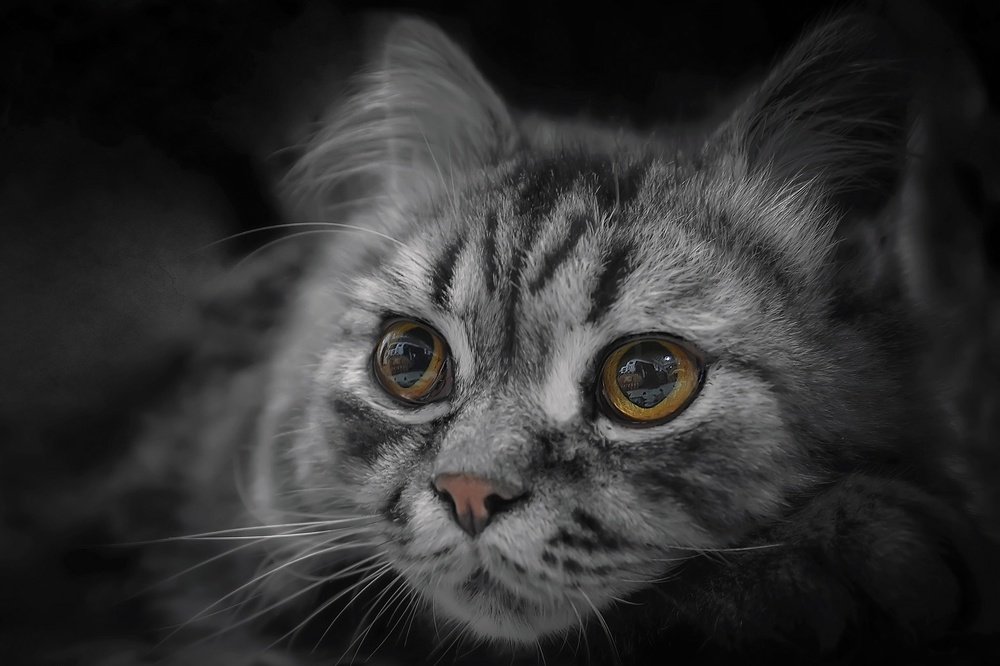 Photograph by  TWIN CHAN