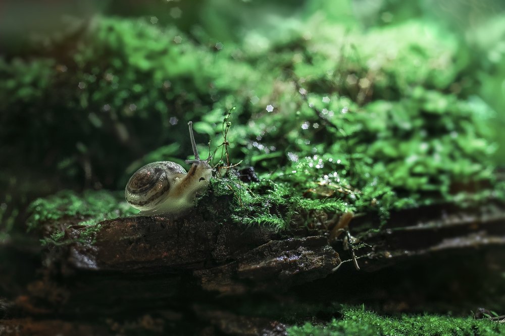 Photograph by Ира Никина