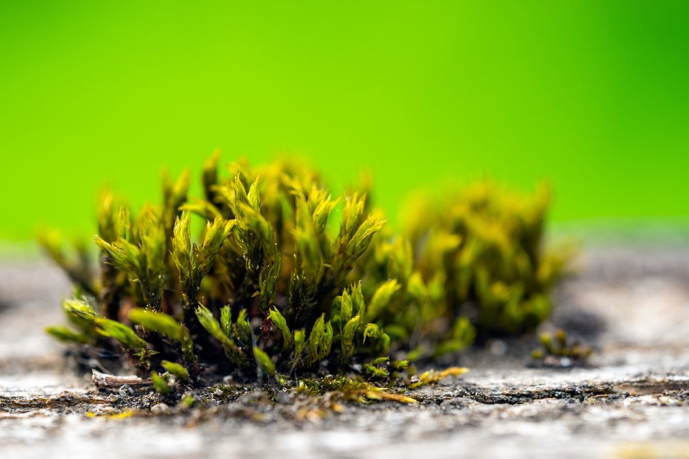 Photograph by Евгений Драбленков