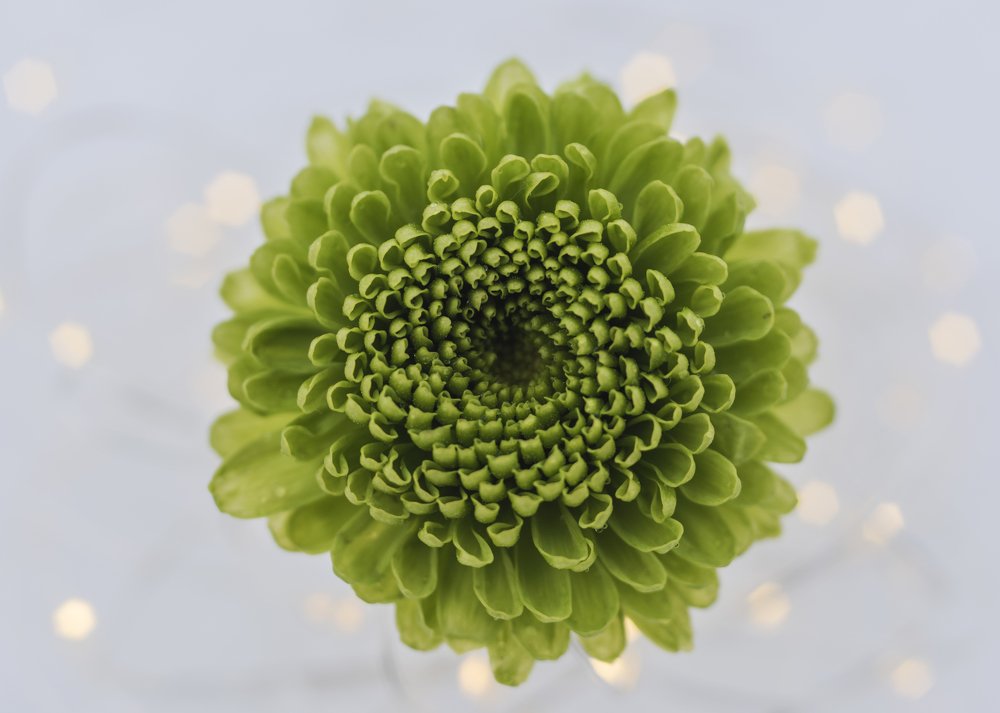 Photograph by Анастасия Третьякова