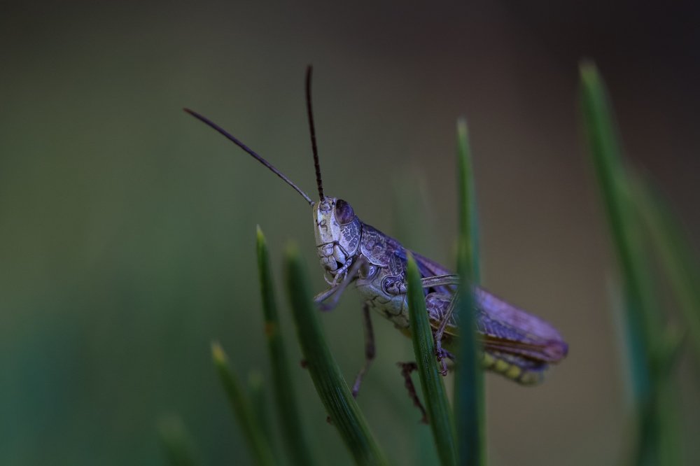 Photograph by Olga Oginskaya