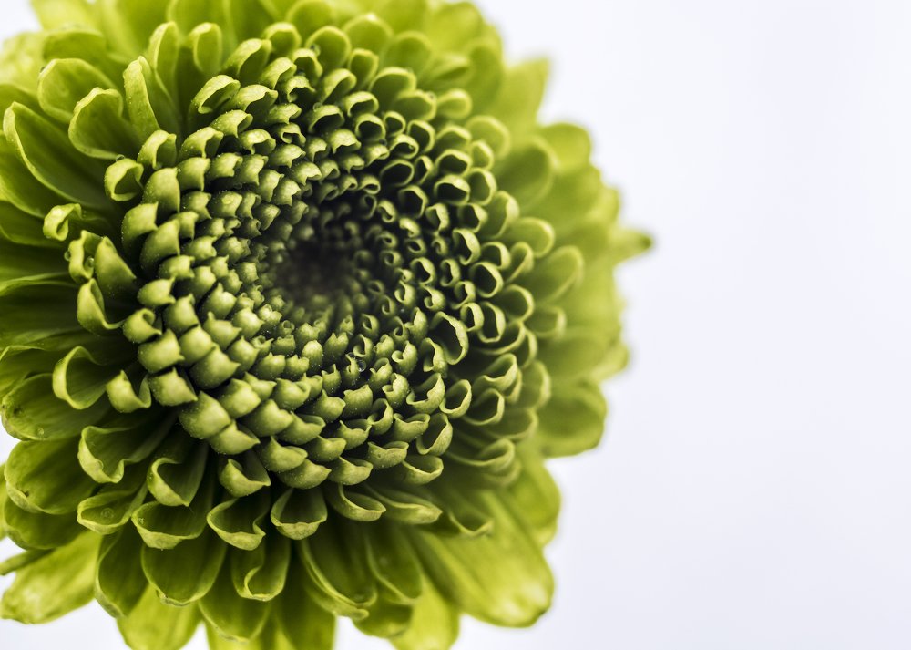 Photograph by Анастасия Третьякова