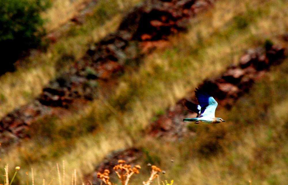 Photograph by Алтынбек Қартабай