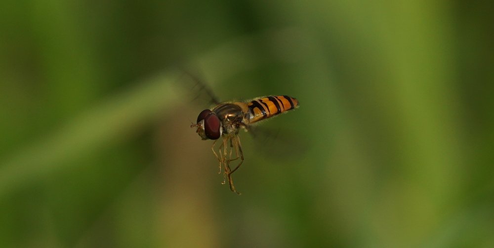 Photograph by Андрей Шартов