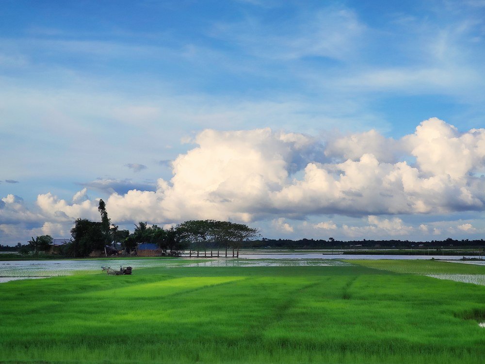 Photograph by Joy Mondal