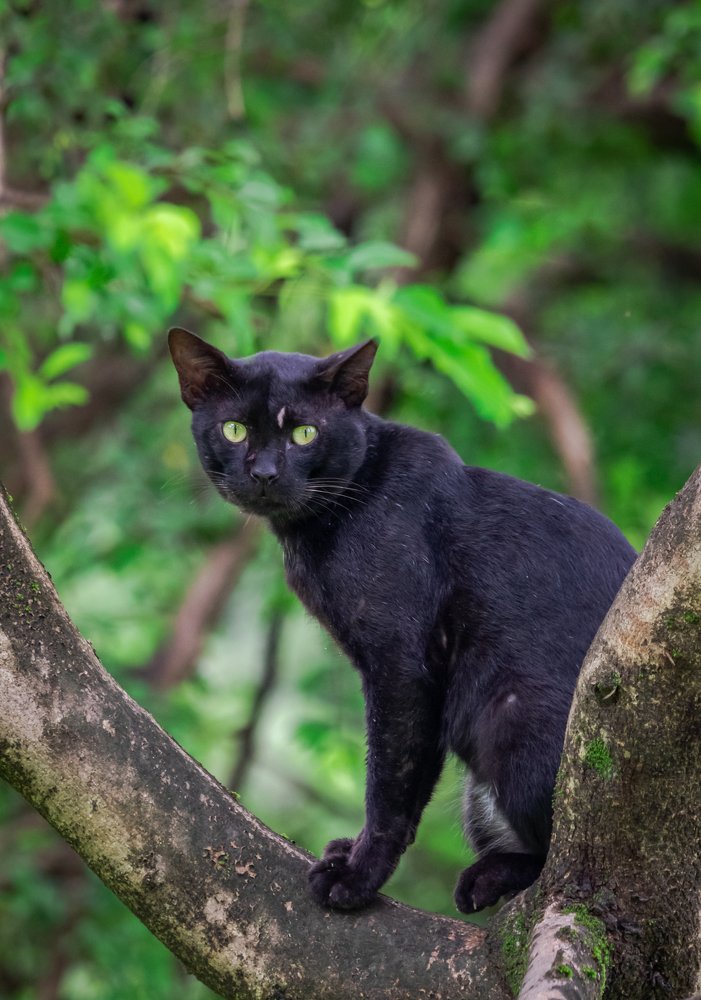 Photograph by SREEJITH KARIMBIL