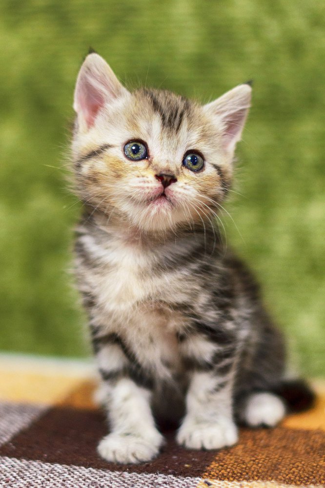 Photograph by Ильдар Валитов