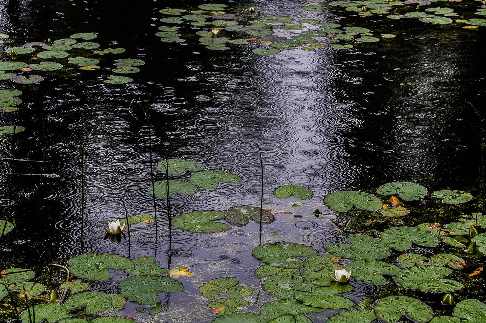 Photograph by Анатолий Мигов