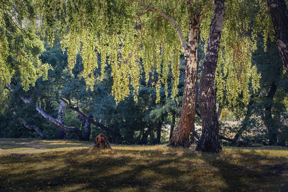 Photograph by петр чиков