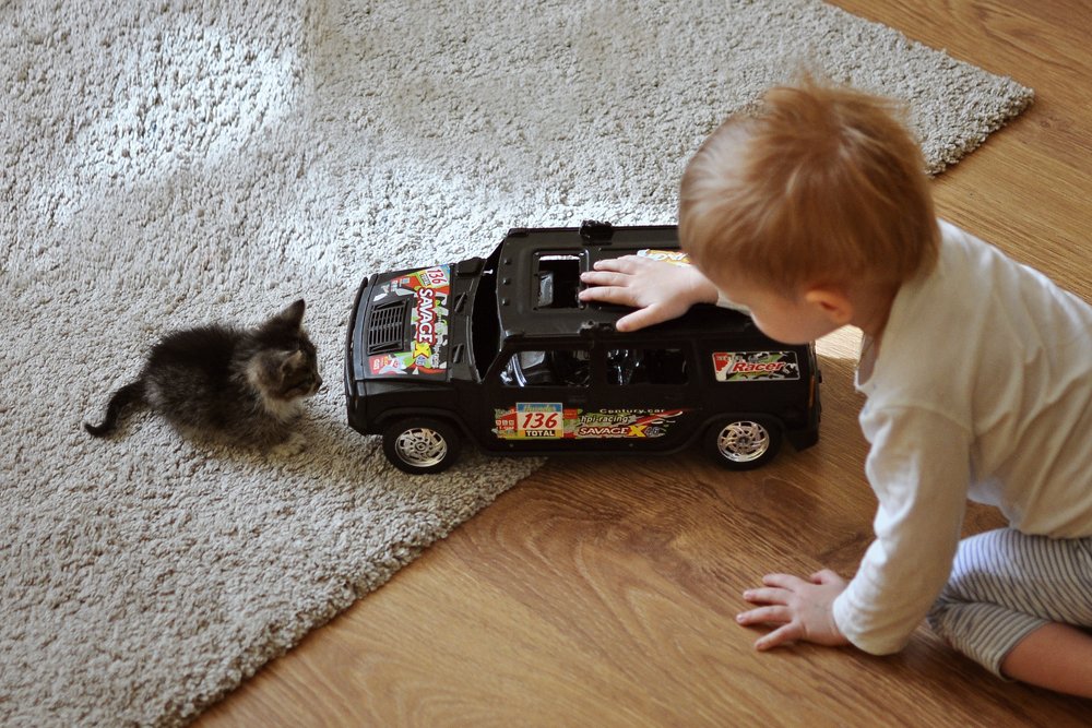 Photograph by Юлия Полуэктова