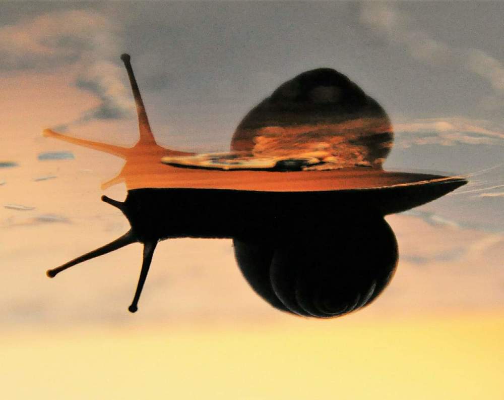 Photograph by Kseniia Pishchinskaia