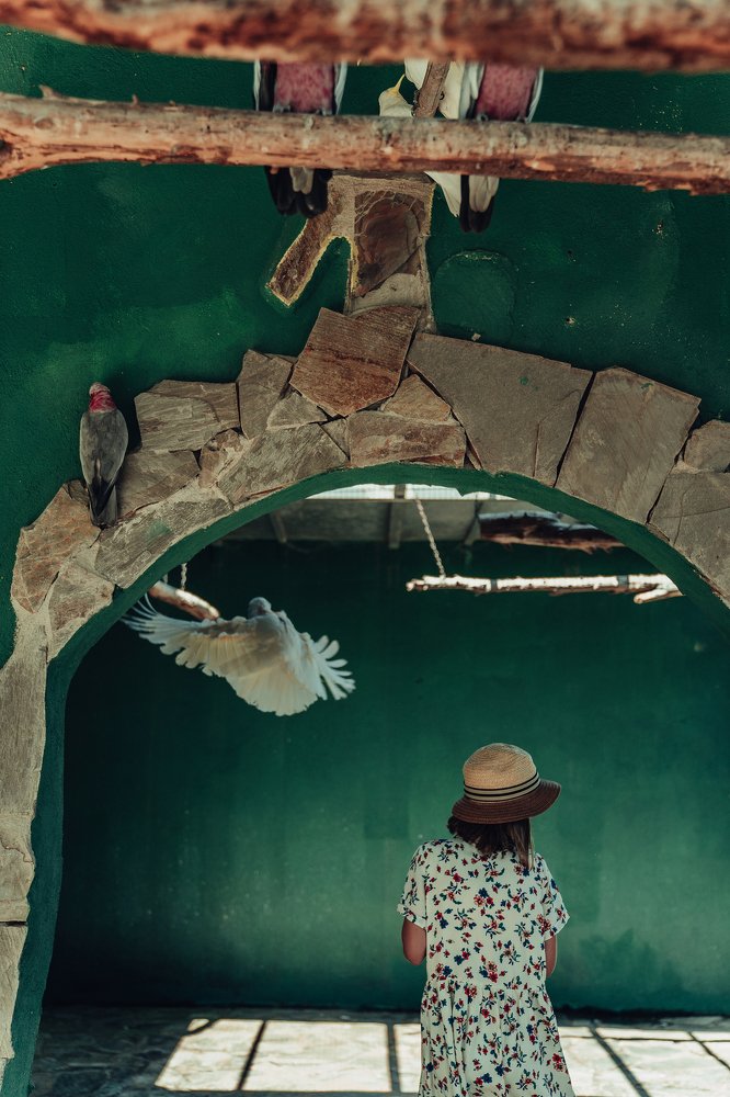 Photograph by Наталья Мишина