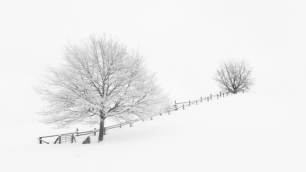 Photograph by Наталья Ростовская