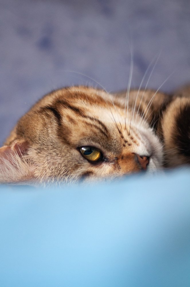 Photograph by Boris Vasilenko