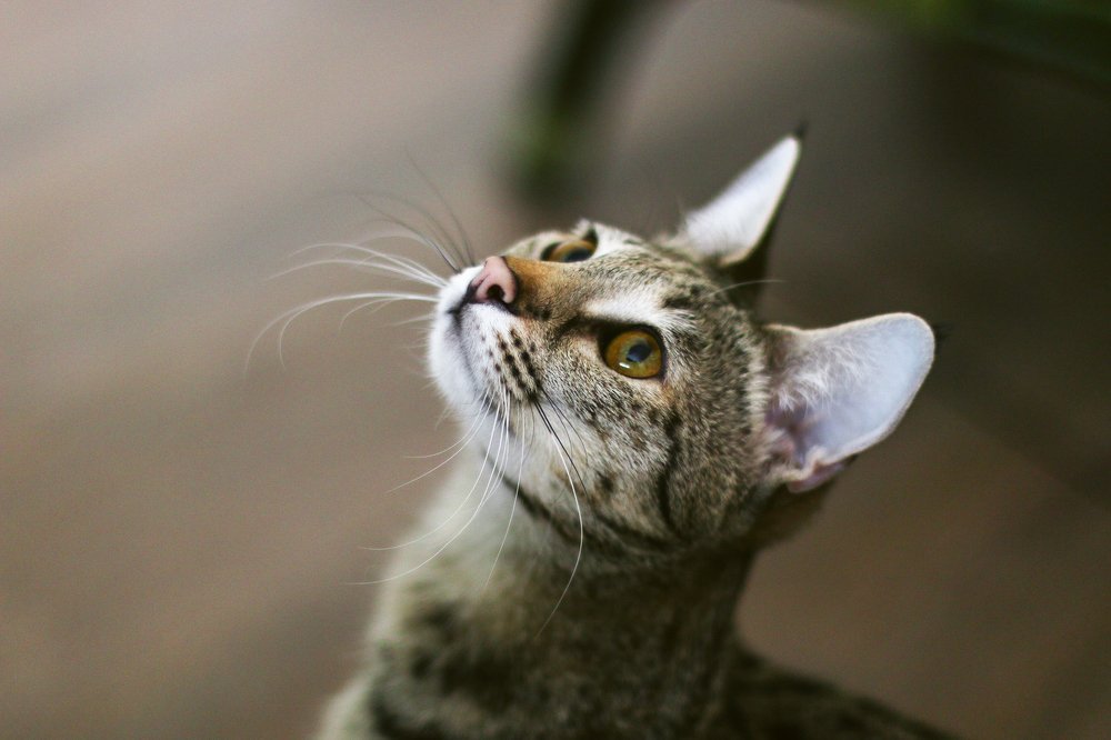 Photograph by Валерия Тейлор