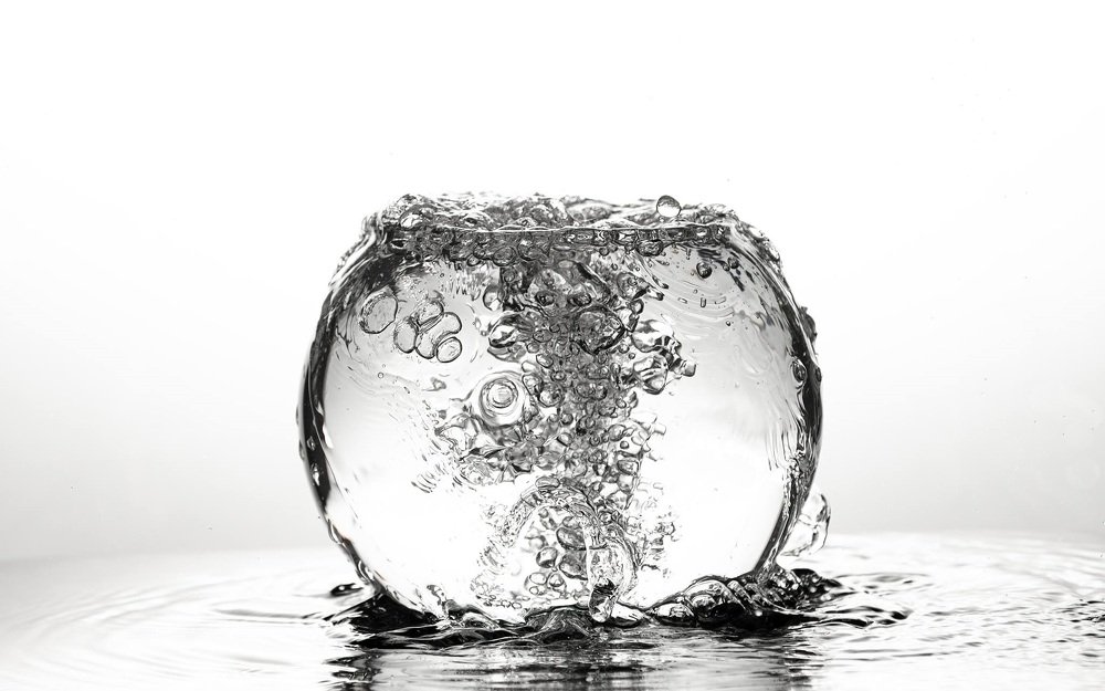 Photograph by Carlos Alberto Gómez Iñiguez