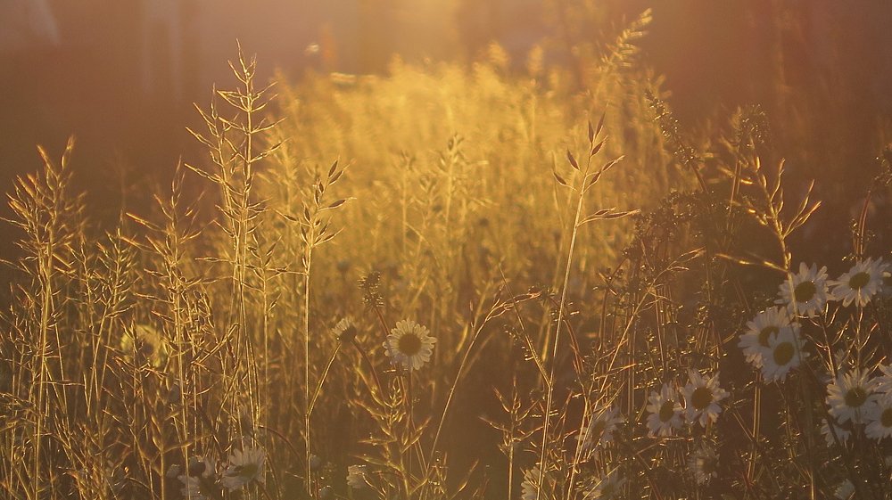 Photograph by Наталья Ростовская