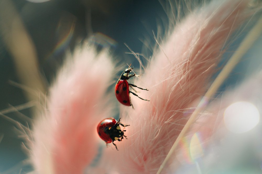 Photograph by Наталья Тарханова