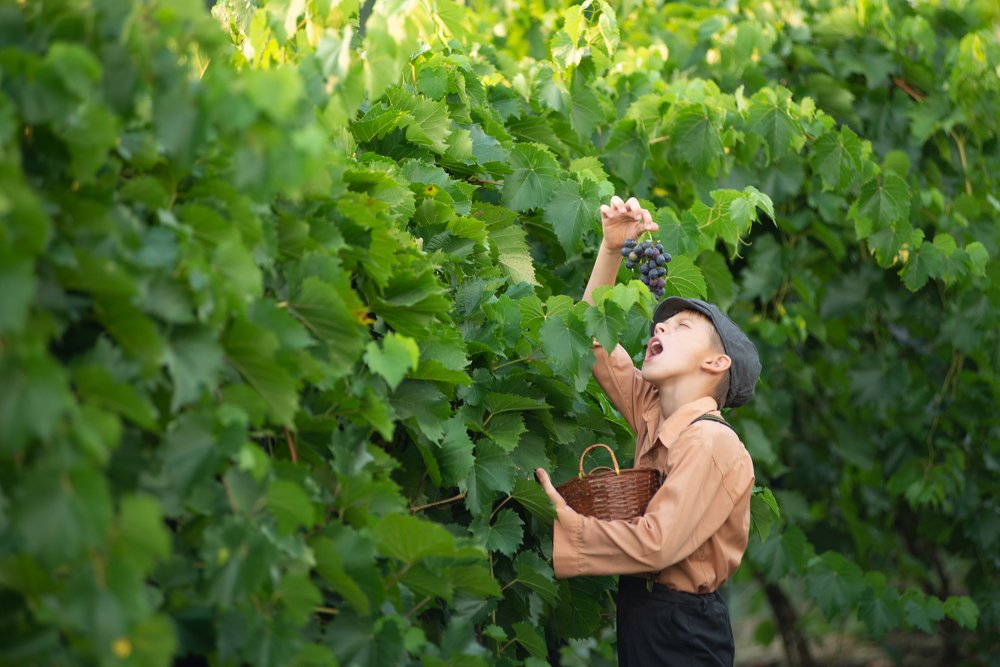 Photograph by Анастасия Мельник