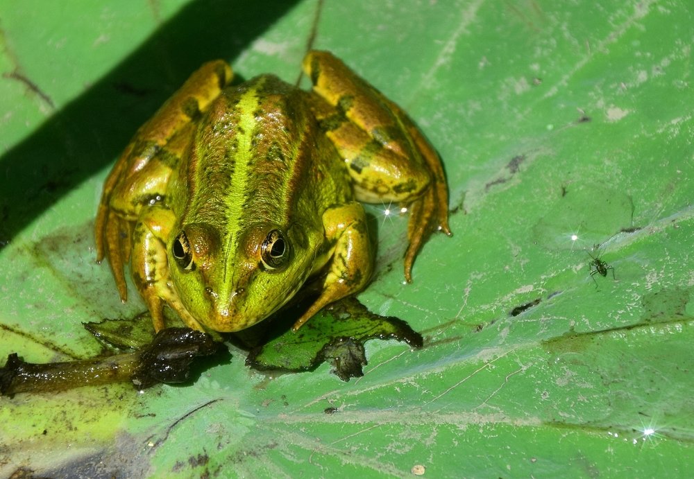 Фотография автора Альбина Хвастунова