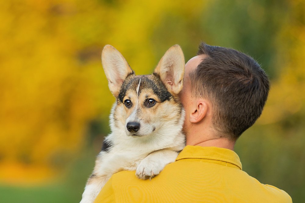 Photograph by Анастасия Мельник