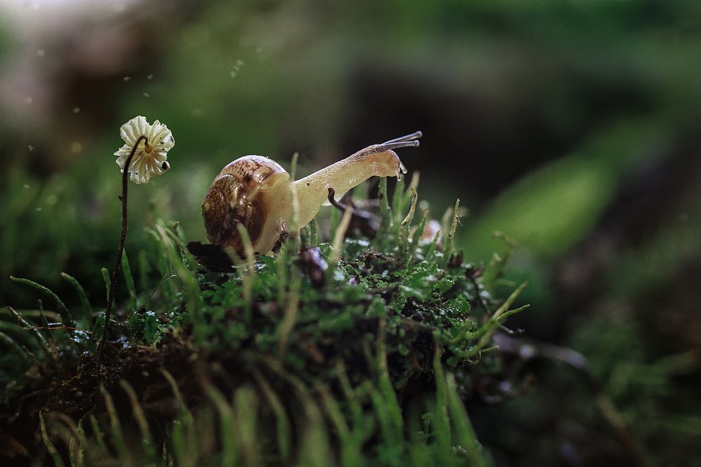 Photograph by Ира Никина