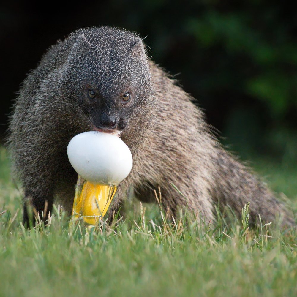 Photograph by Александр Перов