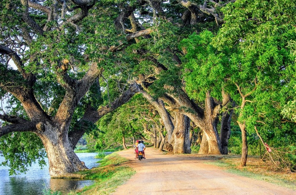 Photograph by Marine Sukiasyan