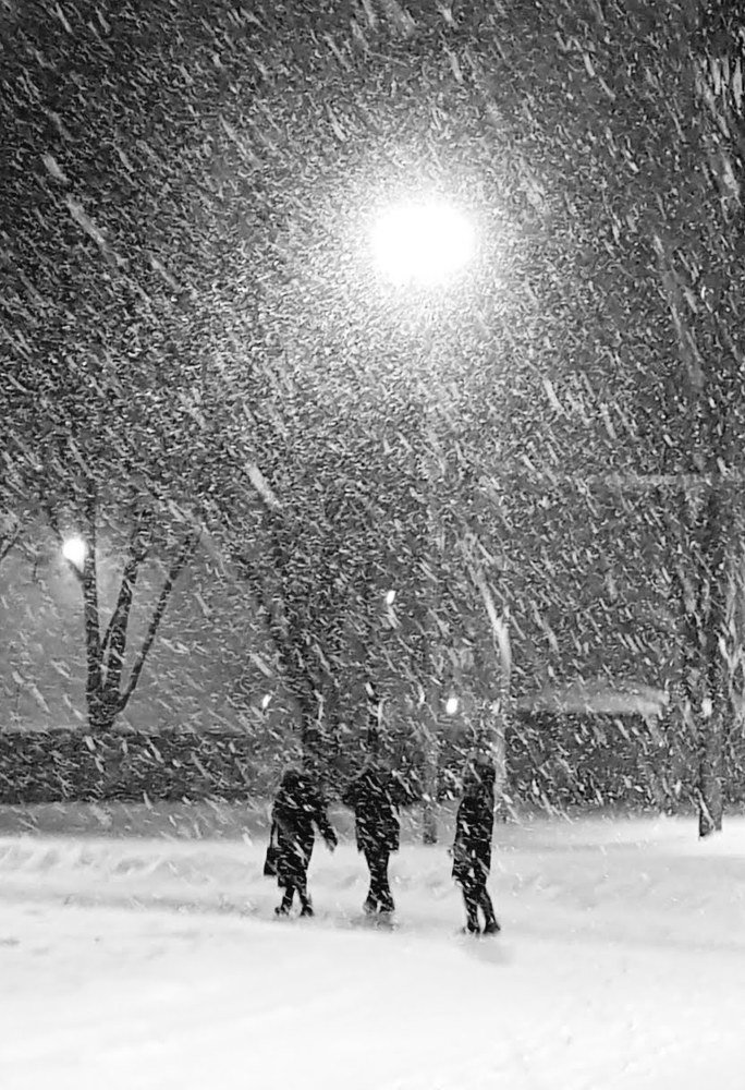 Photograph by Yuriy Berdychevskyy