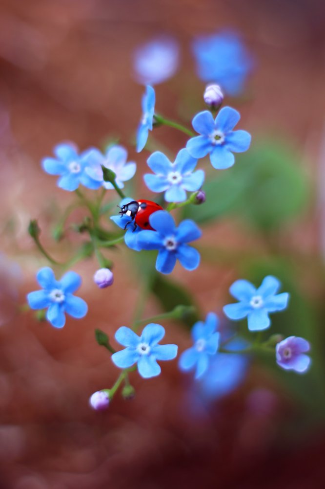 Photograph by Elena Andreeva