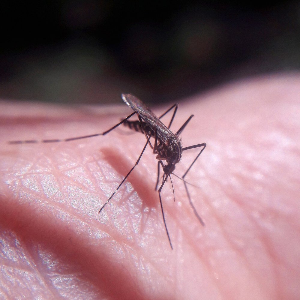 Photograph by Татьяна Жукова