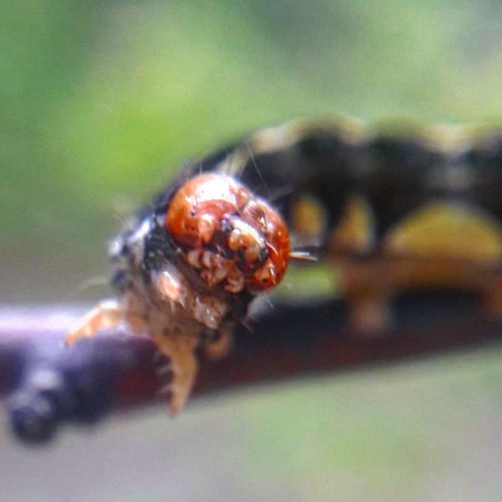 Photograph by Татьяна Жукова