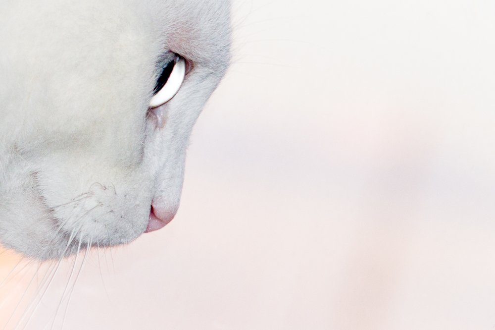 Photograph by Lena Latova