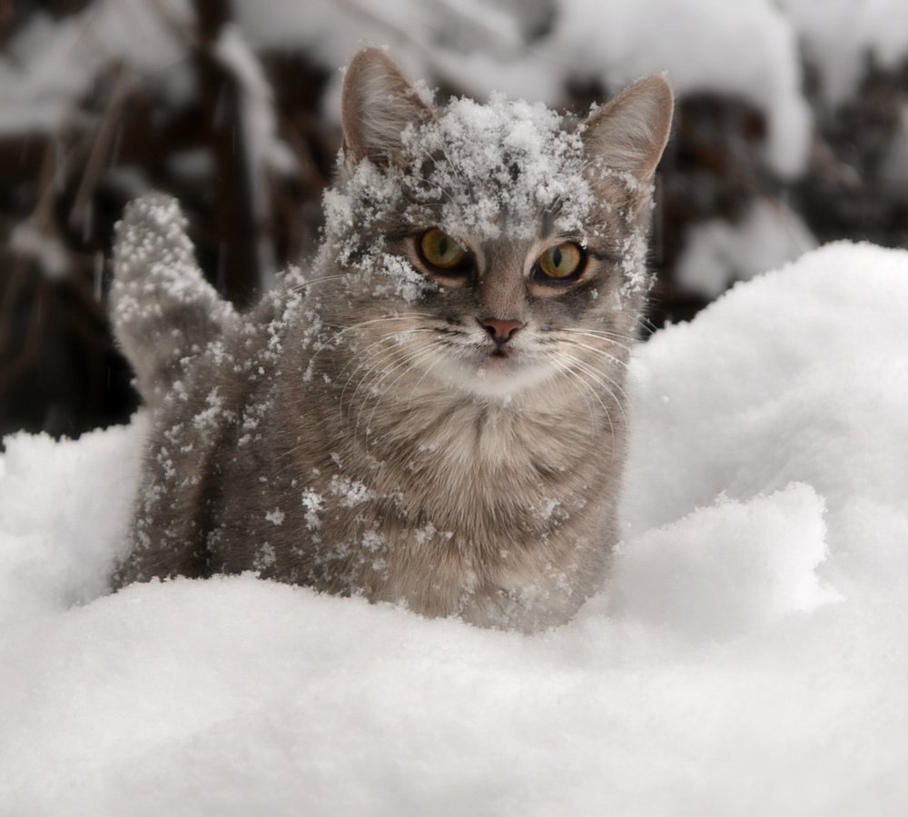 Photograph by Татьяна Рябова