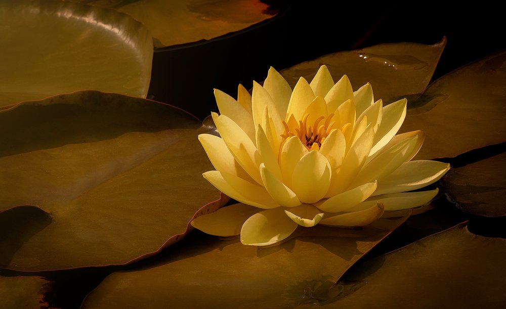 Photograph by Martin Kucera