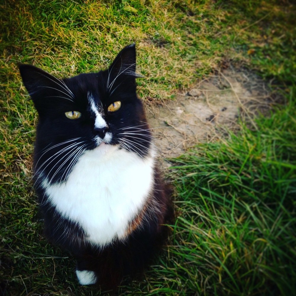 Photograph by Екатерина Артемова