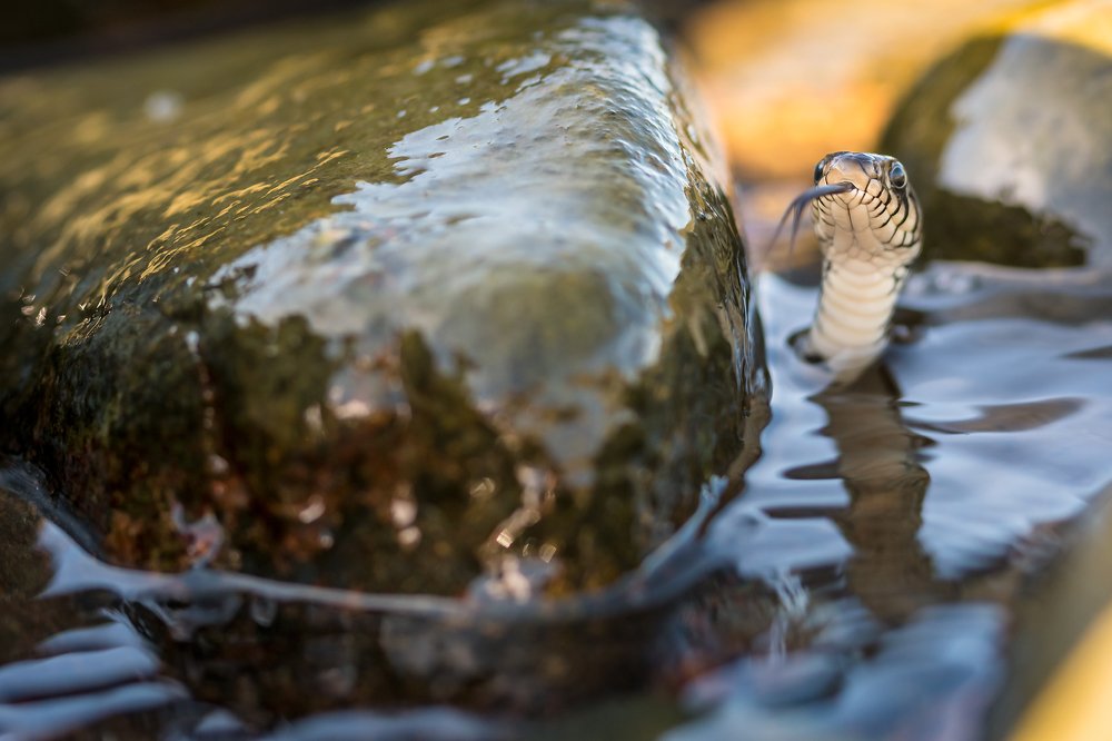 Photograph by Александр Абросимов