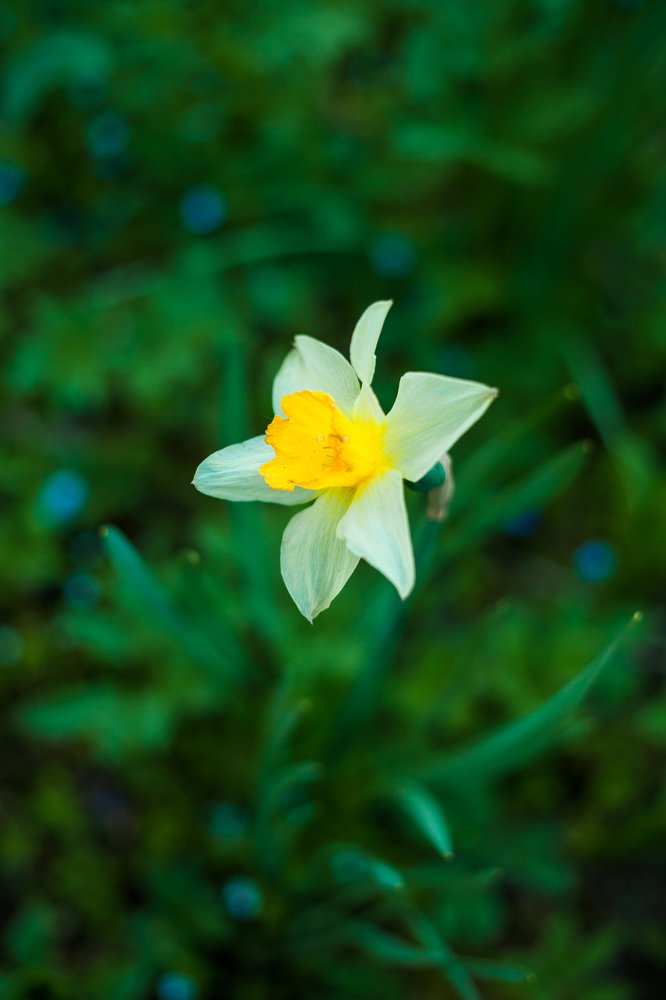 Photograph by Екатерина Панина