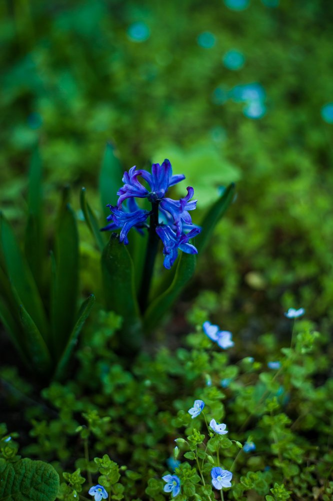 Photograph by Екатерина Панина