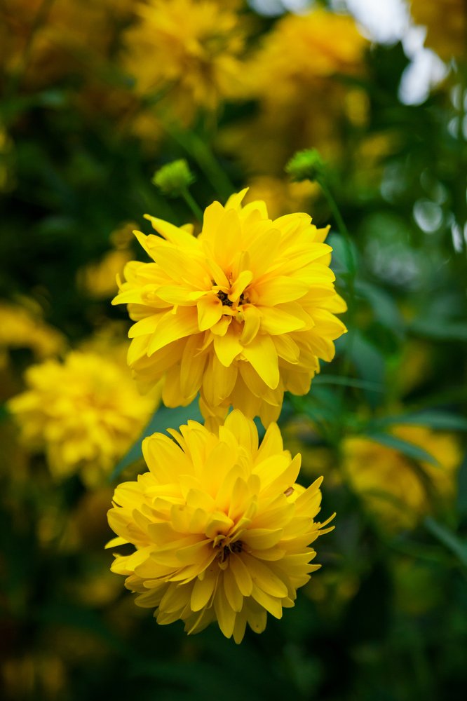 Photograph by Екатерина Панина