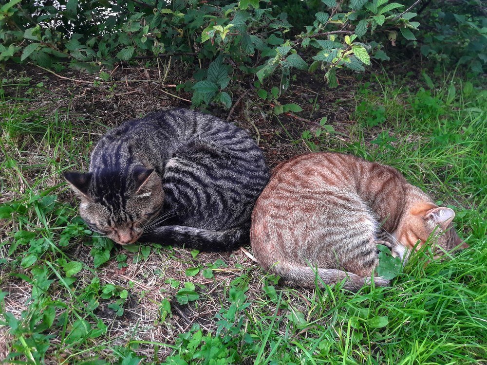 Photograph by Татьяна Жукова