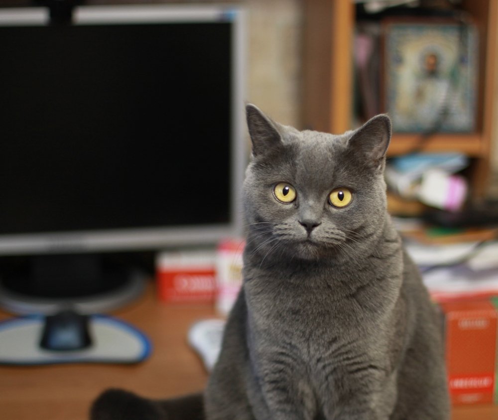 Photograph by Татьяна Жукова