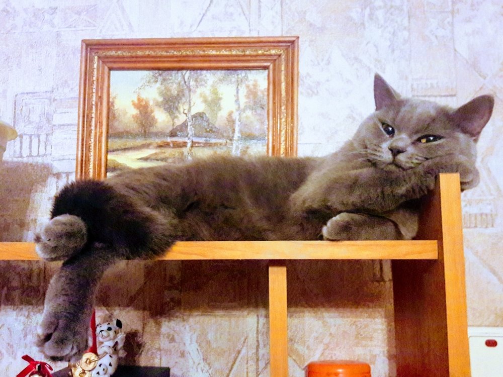 Photograph by Татьяна Жукова