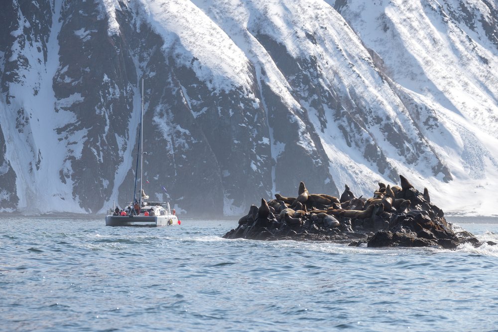 Photograph by Елена Верещака