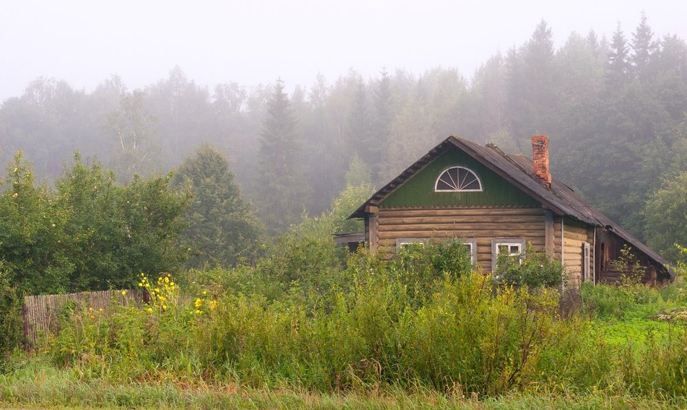 В зеленом палисаднике